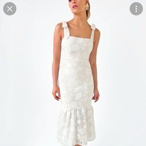 Clara Midi Dress NWT - rare find